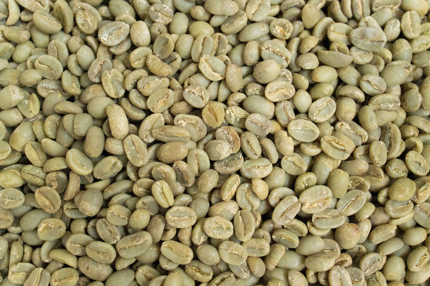 green coffee beans