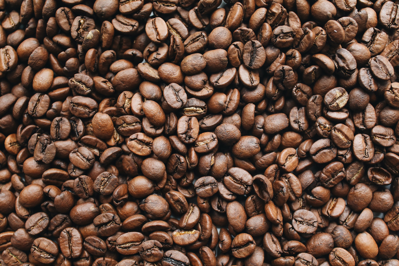 how to choose coffee beans