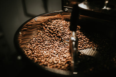 Unveiling the Artistry of Specialty Coffee: From Bean to Brew